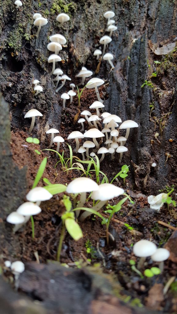 20190930_103837-576x1024